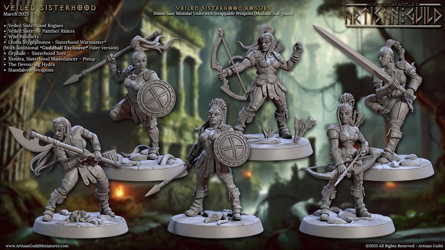 Veiled Sisterhood Rogue Miniature - 28mm / 32mm / 36mm - 6 Variations - Artisan Guild - Resin Printed Miniature for TTRPGs and Board Games