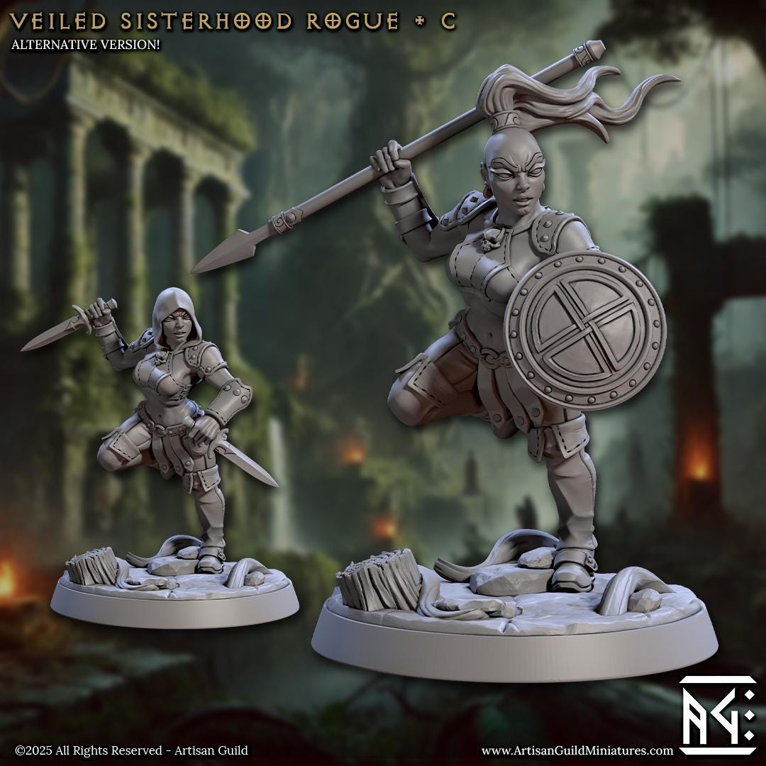 Veiled Sisterhood Rogue Miniature - 28mm / 32mm / 36mm - 6 Variations - Artisan Guild - Resin Printed Miniature for TTRPGs and Board Games