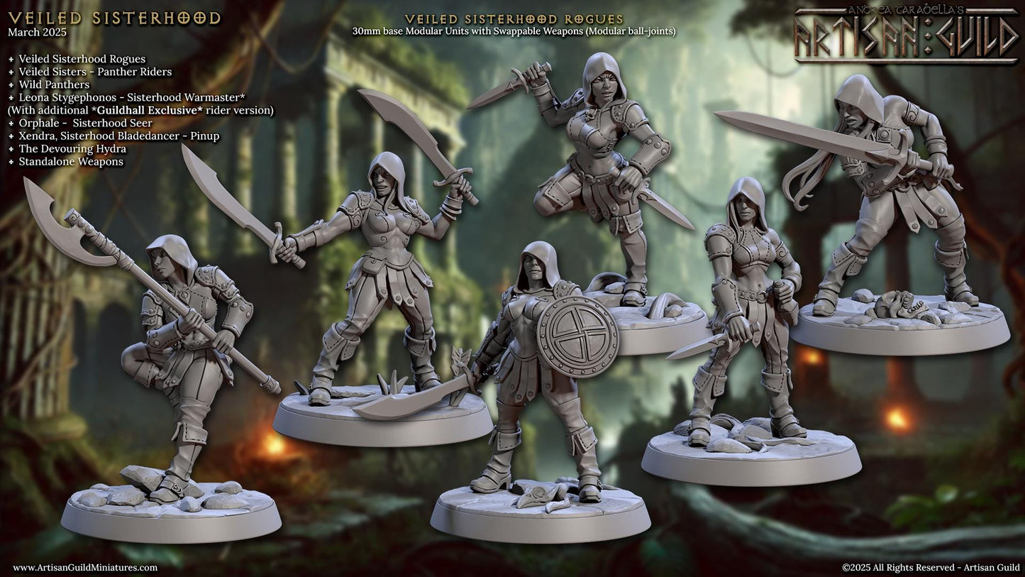 Veiled Sisterhood Rogue Miniature - 28mm / 32mm / 36mm - 6 Variations - Artisan Guild - Resin Printed Miniature for TTRPGs and Board Games