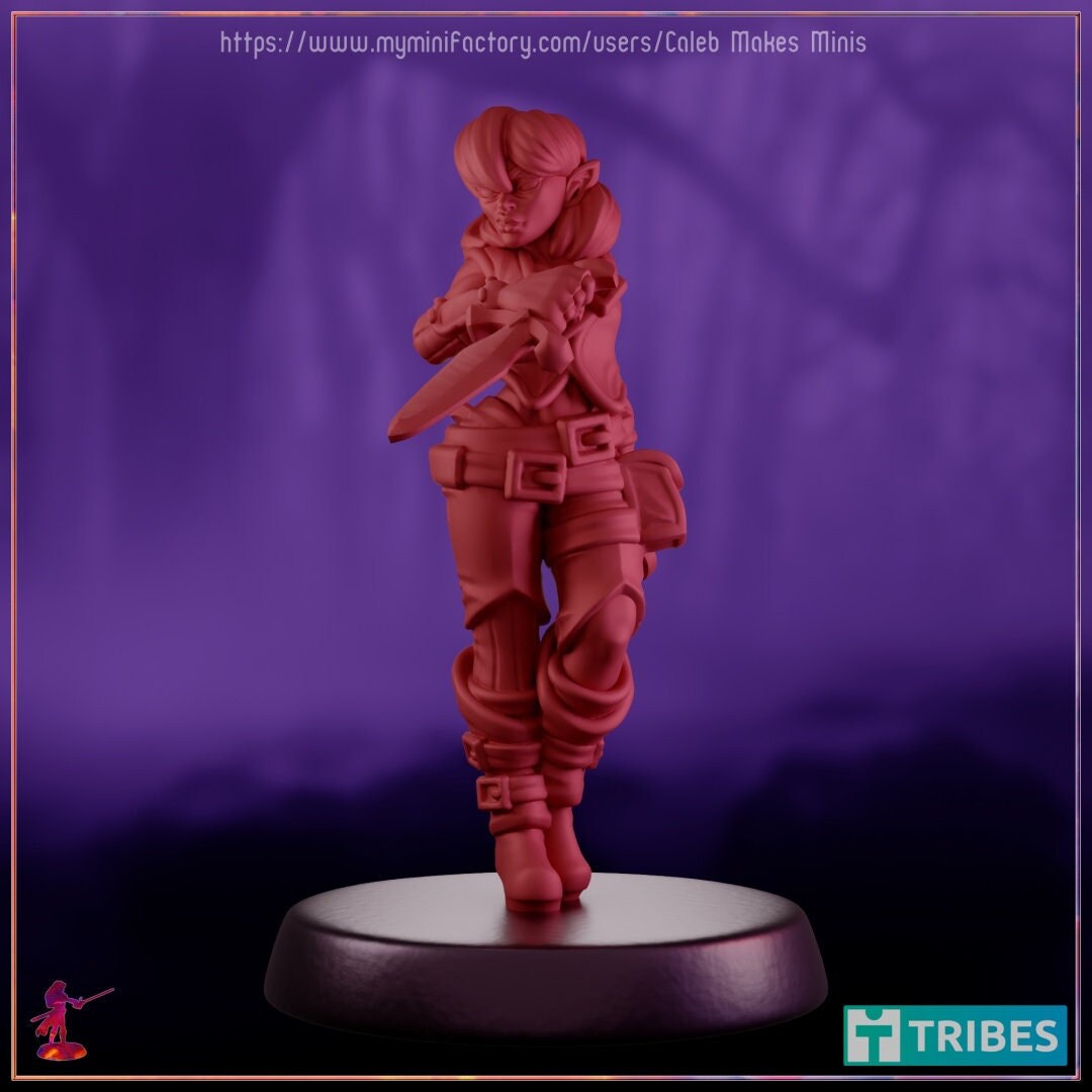 Rogue's Bodyguard - Caleb Makes Minis - 28mm / 32mm / 36mm
